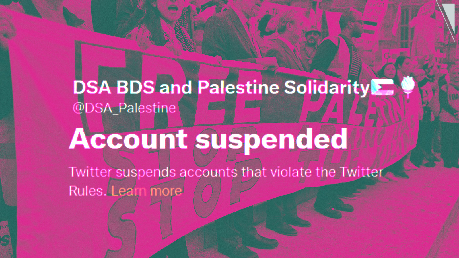 DSA’s Palestine problem