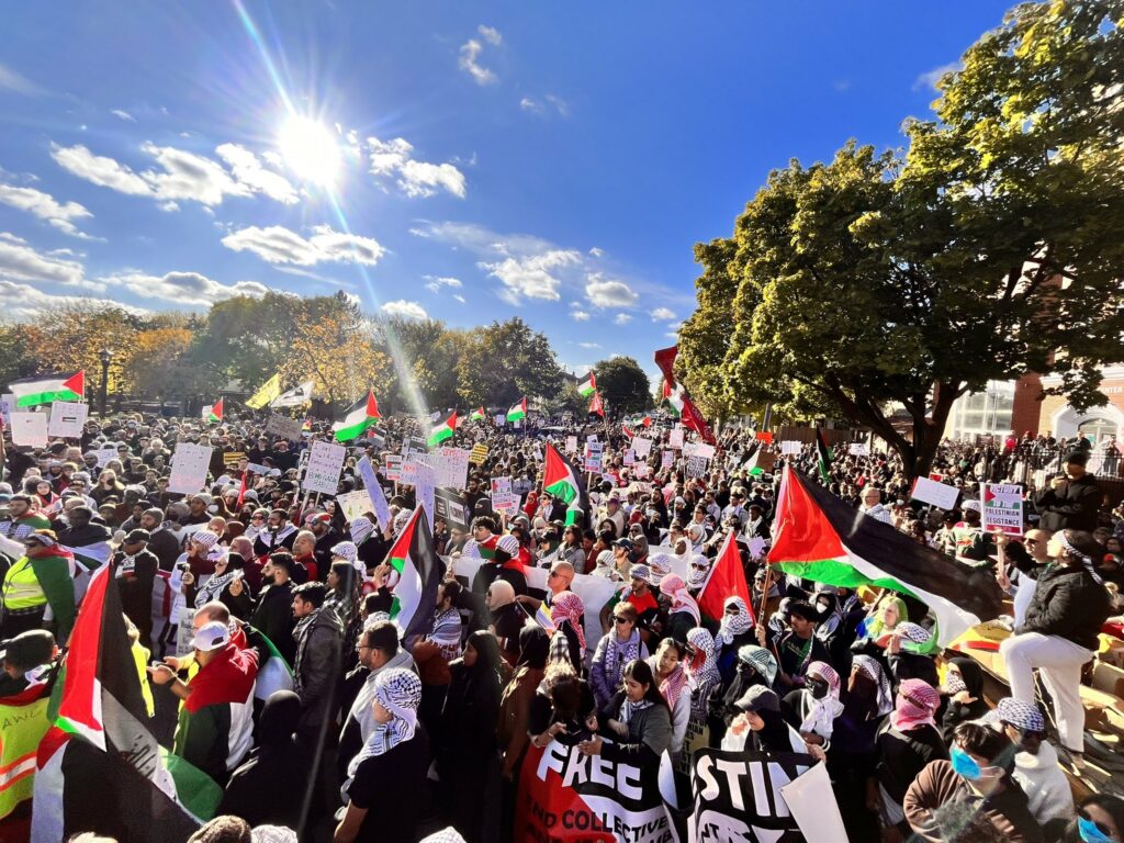 Hundreds of people flying Palestinian flags and carrying signs and banners for a free Palestine stand in bright sunshine.