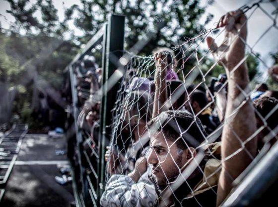 immigrants hang on a chain-link fence, behind which they are trapped.