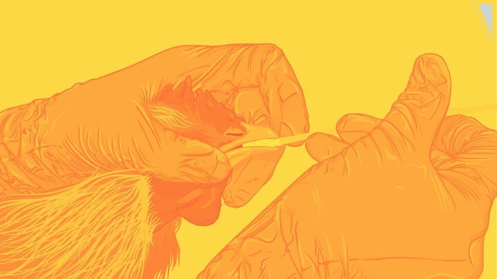 In bird flu, capitalism is the culprit