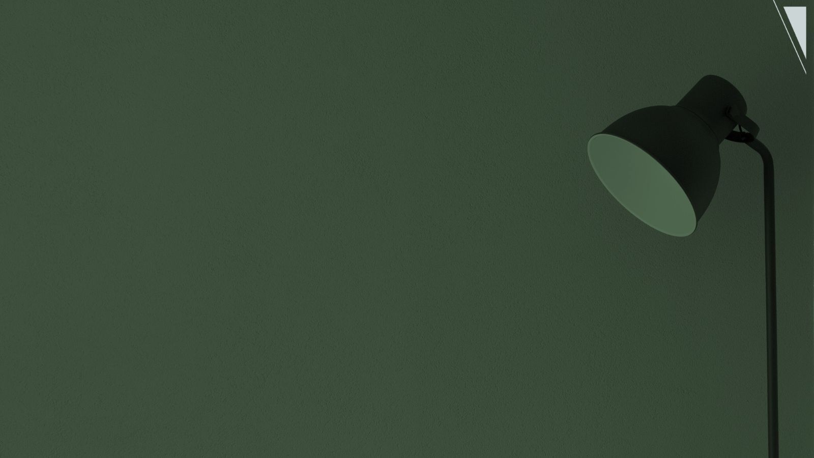 The politics of the aesthetic