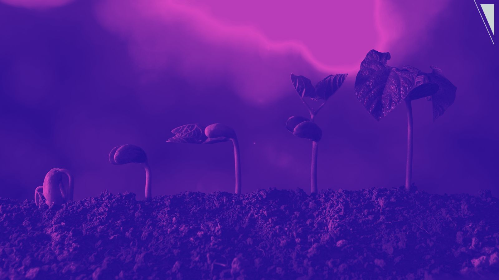 Which way forward for the resistance?