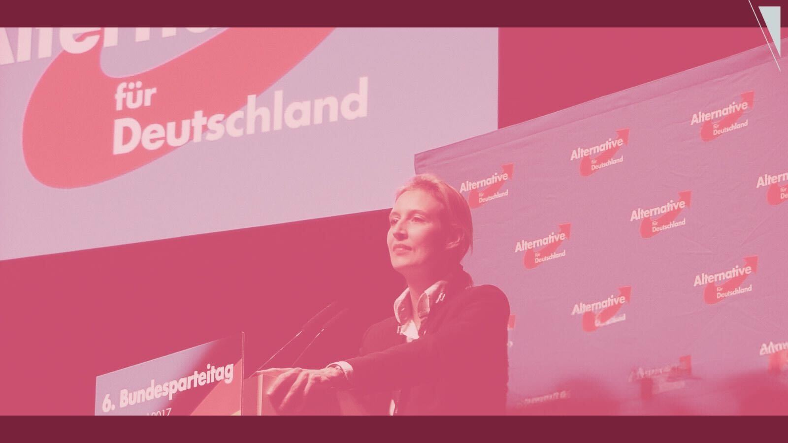 Femonationalism in the Alternative for Germany