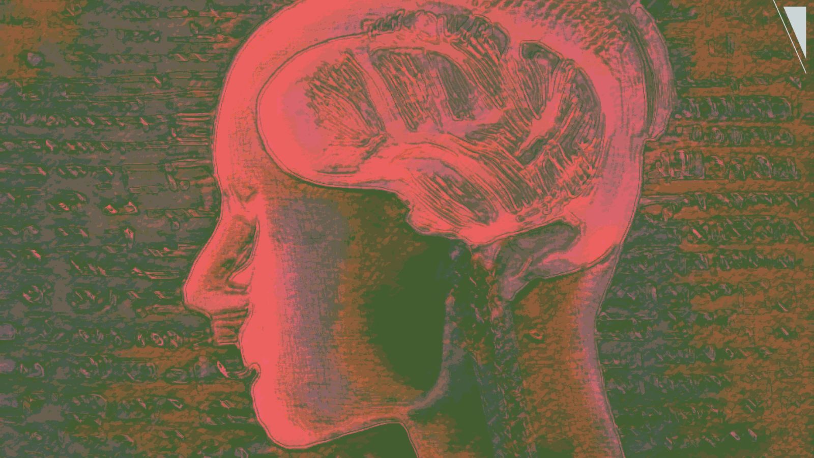 An illustration of a human head, x-rayed with a brain in it.