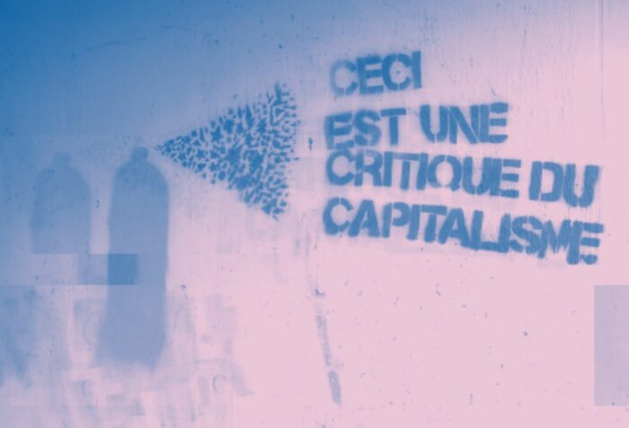 Blue graffiti on pink wall reading, "Ceci une critique du capitalisme," or this is a critique of capitalism