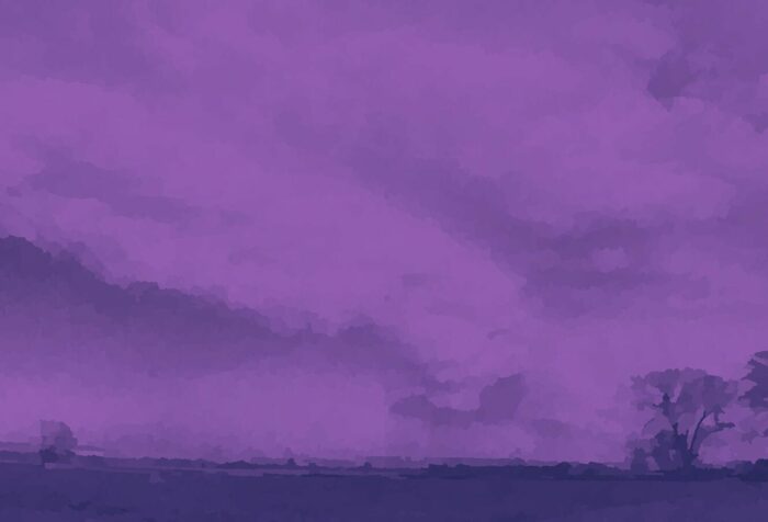 A flat field with trees on the right side and clouds in the sky. A purple filter over the whole image.
