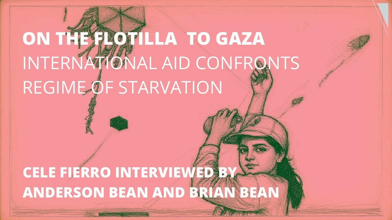 On the Flotilla to Gaza