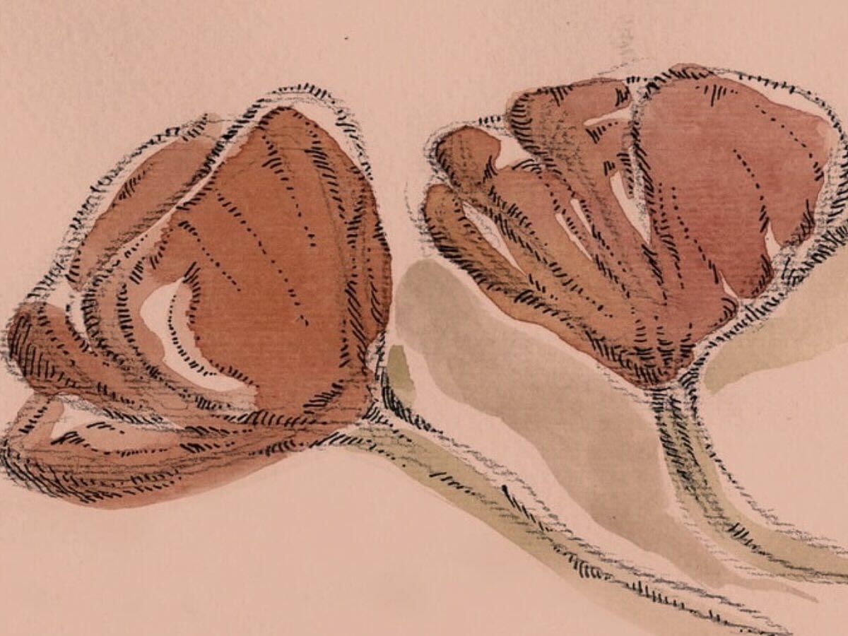 “A huge massacre awaits”