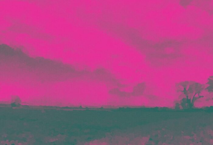 A pink-filtered image of a field.