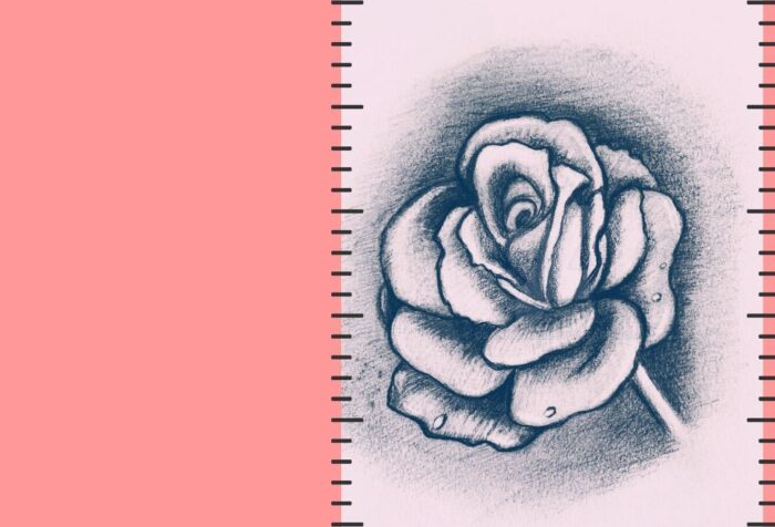 A navy sketch of a rose against a pink background.