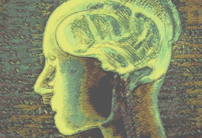 An illustration of a human head, x-rayed with a brain in it.