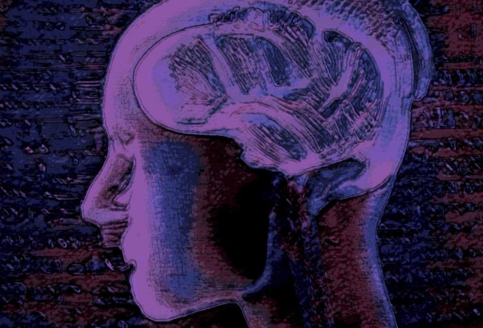 An illustration of a human head, x-rayed with a brain in it.