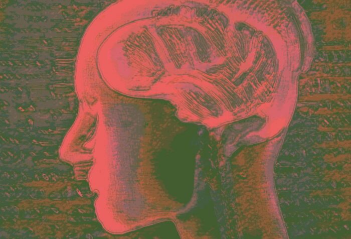 An illustration of a human head, x-rayed with a brain in it.