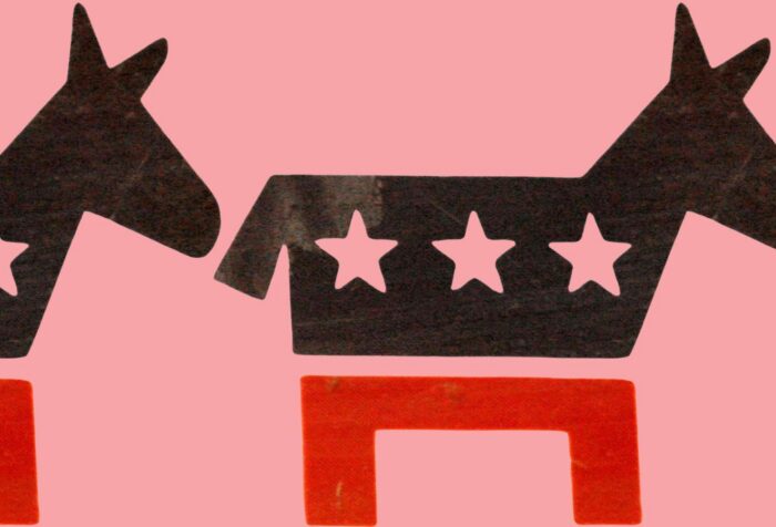 Pink background with the symbol of the democratic party in front.