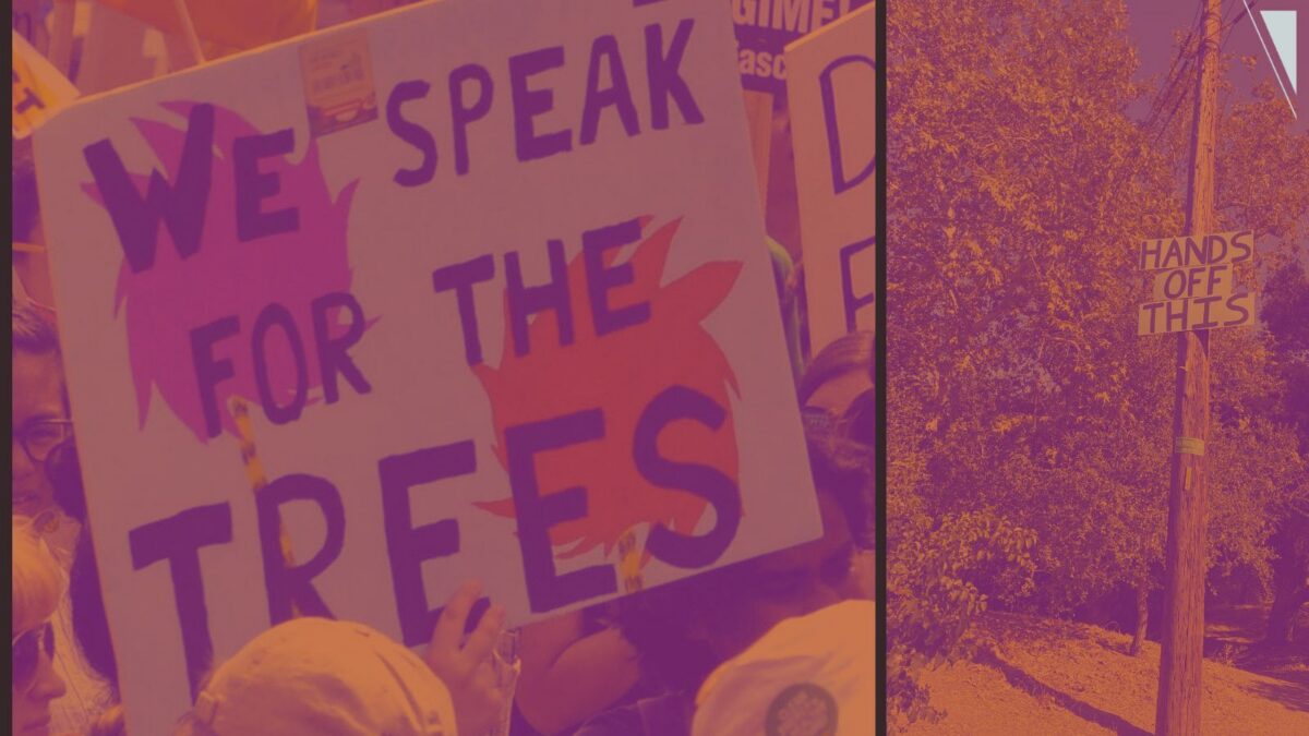 We are the Lorax and must speak for the trees