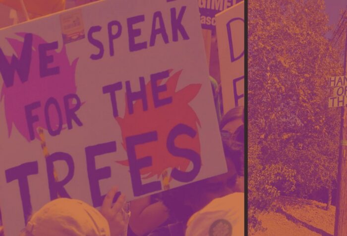 Signs that read "we speak for th trees" and "hands off this"
